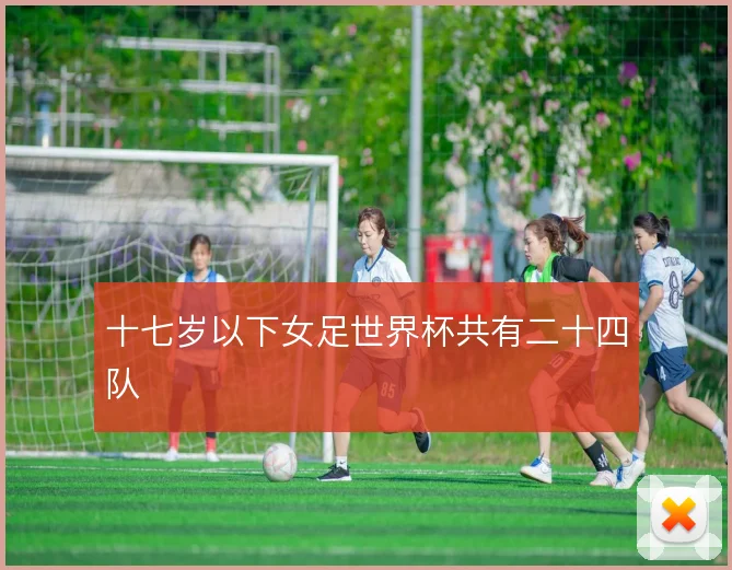 十七岁以下女足世界杯共有二十四队