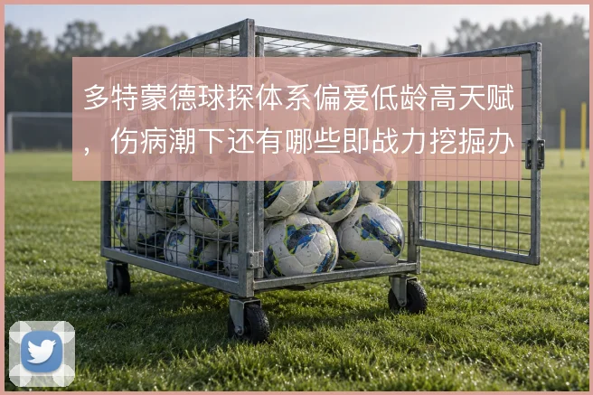 多特蒙德球探体系偏爱低龄高天赋，伤病潮下还有哪些即战力挖掘办法