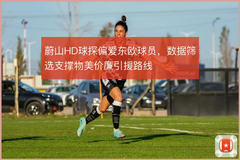 蔚山HD球探偏爱东欧球员，数据筛选支撑物美价廉引援路线