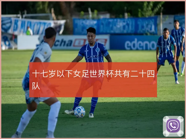 十七岁以下女足世界杯共有二十四队