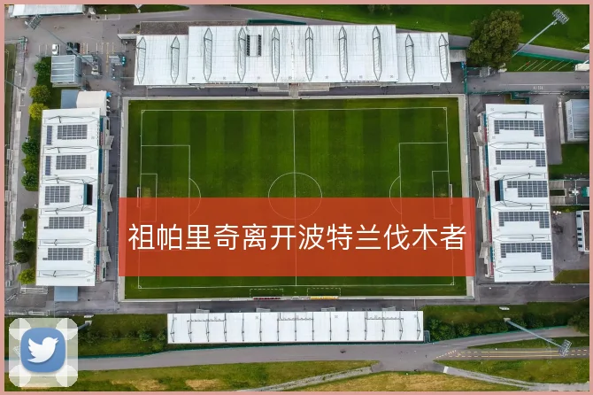 祖帕里奇离开波特兰伐木者